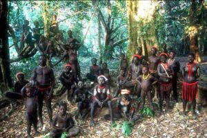 mystery of last stone age tribe of north sentinel island